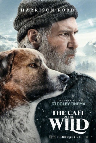 مشاهدة فيلم The Call of the Wild 2020 مترجم