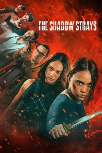 مشاهدة فيلم The Shadow Strays 2024 مترجم مشاهدة فيلم The Shadow Strays 2024 مترجم